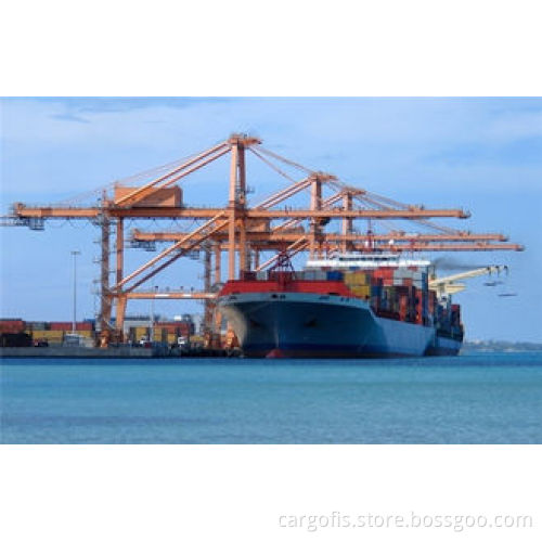 Global LCL FCL Sea Cargo Freight Services / Forwarding To ROTTERDAM